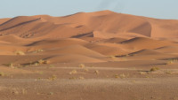 Maroko 11. Sahara